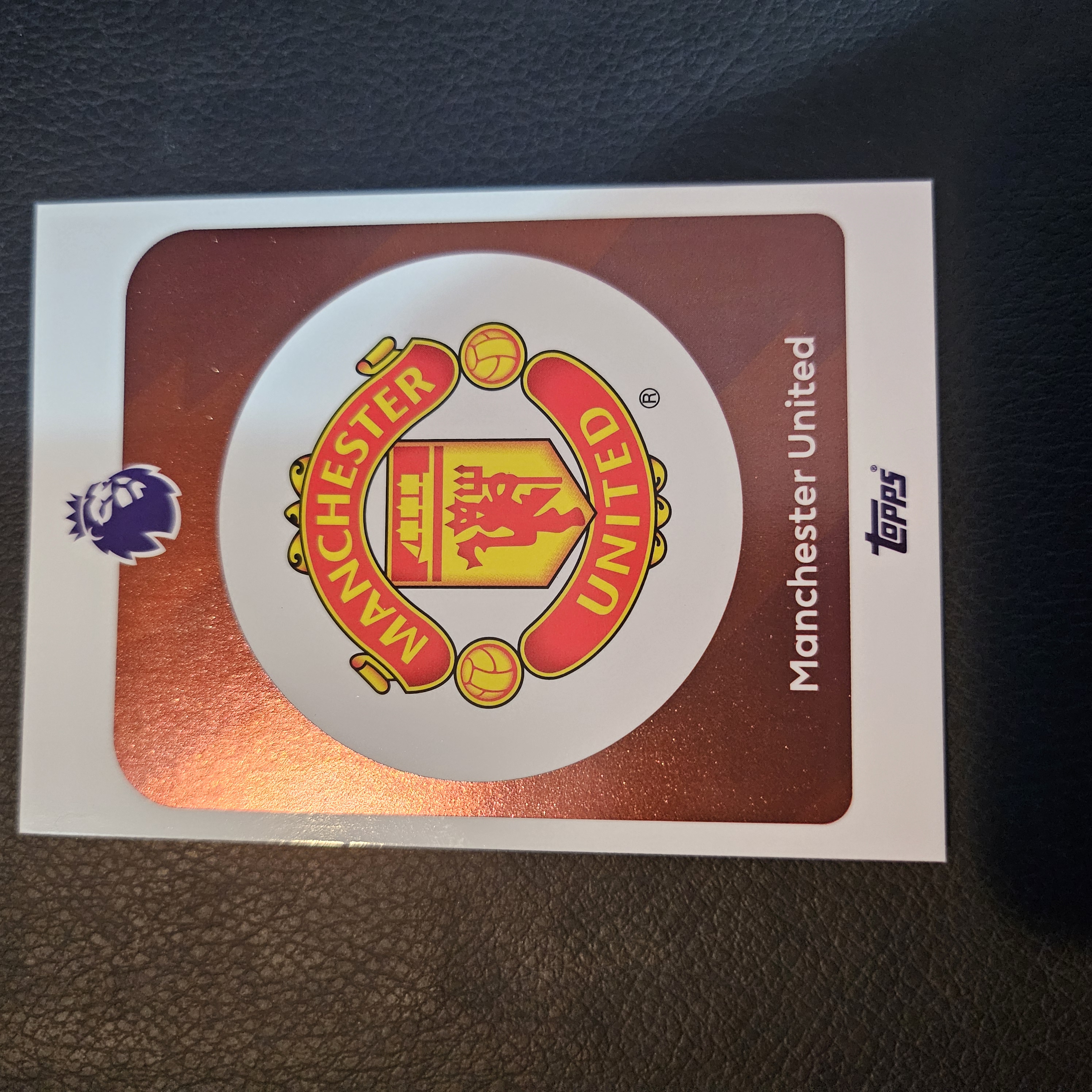 Manchester United Team Badge #199